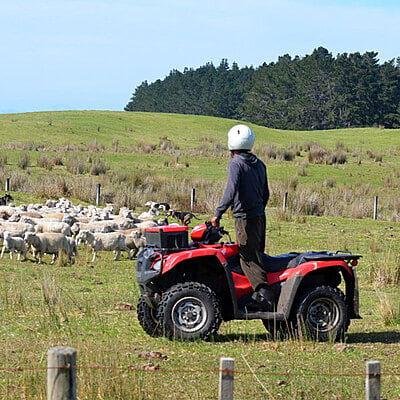 Quad Bikes