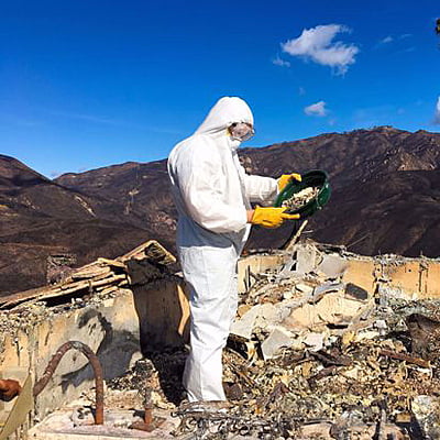 Bushfire Damage and Clean-up